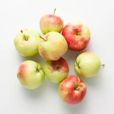 Яблоки Белый налив молодые купить для Бизнеса и офиса по оптовой цене с  доставкой в СберМаркет Бизнес