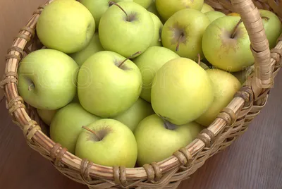 Осень яблоки в корзине - 56 фото