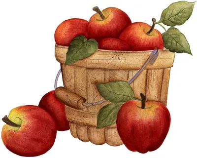 Яблоки в корзине | Головоломки каждый день | Дзен