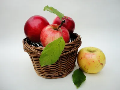 Яблоки в корзине стоковое фото. изображение насчитывающей еда - 26495592