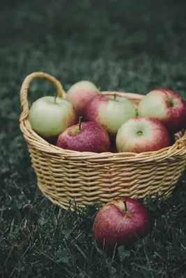 яблоки в корзине на деревянном столе, фрукты, пол, красный фон картинки и  Фото для бесплатной загрузки