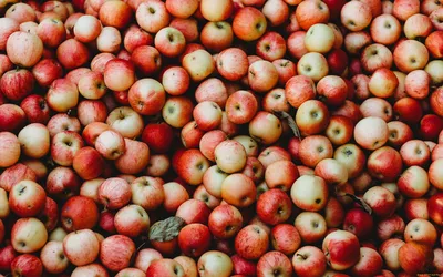 Яблоки искусственные, 4 см, 3 фрукта на ветке, набор 2 ветки – купить в  Казани | «С Нежностью»