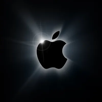 Обои iPhone Apple logo. Логотип apple, Яблоко обои, Обои, Orange Apple HD  phone wallpaper | Pxfuel