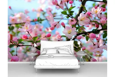 Яблоня В Цвету Цветок Яблони - Бесплатное фото на Pixabay - Pixabay