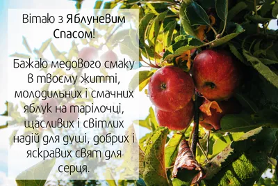 Яблучний Спас-2021: красиві листівки, вітання й вірші - Главком