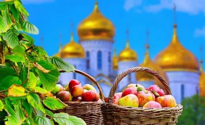 Яблучний Спас: звичаї та традиції в Україні (ФОТО) | Новини Точка доступу