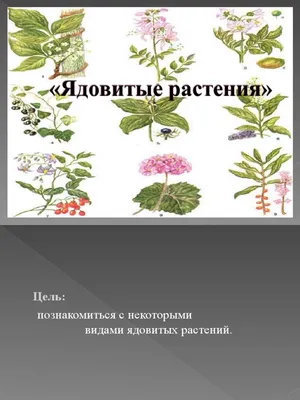 ядовитые растения | PDF