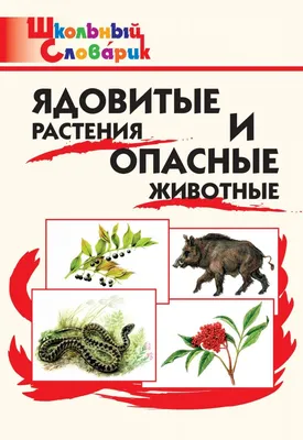 Старая открытка «Ядовитые растения» ⋆ PostcardPublisher