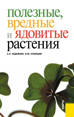 Как определить ядовитые растения в парке и лесу | Ветеринария и жизнь