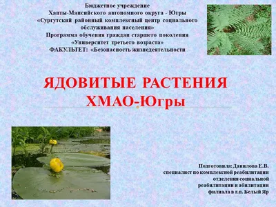Ядовитые растения Урала | Журнал о жизни за городом | Villa66