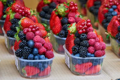 Замороженные ягоды: польза и вред, как правильно замораживать на зиму