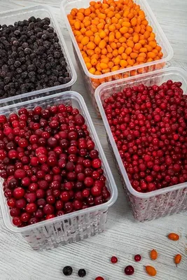 Плохие новости для любителей литовских ягод: в некоторые леса за ягодами  можно не ходить - Delfi RU
