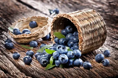 Самые полезные для здоровья ягоды: какие ягоды можно есть без ограничений?  — Lenta.ru: Питание и сон: Забота о себе: Lenta.ru