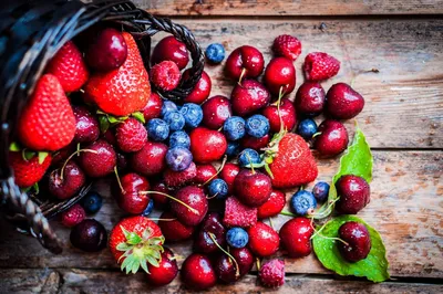 Живительная сила синих ягод | Полезные статьи на блоге Беккер
