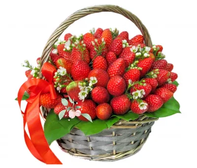 Сколько ягод можно съедать в день: правила заморозки продукта | Крымская  газета | Дзен