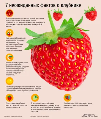Сочная ягода Виктория 004 стоковое изображение. изображение насчитывающей  ягод - 150227917
