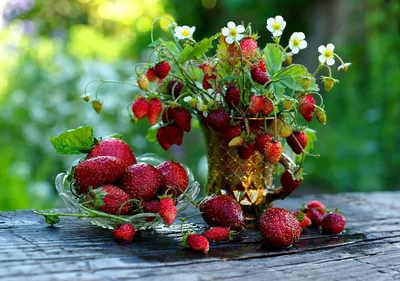 Ягода Клубника - «Моя любимая ягода, вкусная, сладкая и очень ароматная! »  | отзывы