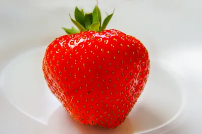 Большие вкусные ягоды Виктория и сократить ягоды Виктория на белой тарелке  Стоковое Фото - изображение насчитывающей печенье, диетпитание: 187676444