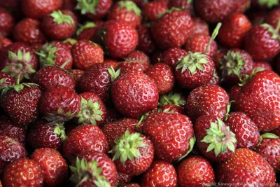 Клубника | Food, Strawberry, Fruit