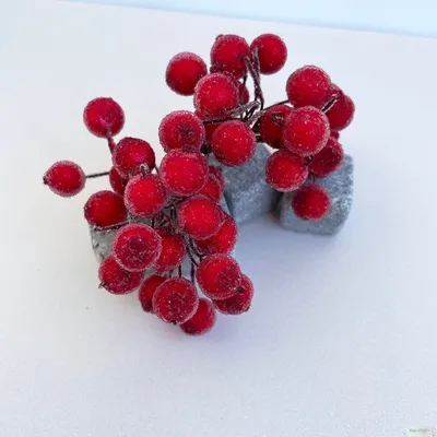 Ягодки на веточке сахарные 1.2см, бордовые (примерно 20 ягод) купить в  Минске: цена, фото