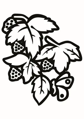 Букет-декор ягодки-грозди (зелёный) - Материалы для творчества. ИЗОЛОН,  ФОАМИРАН, SOFTIN, IXPE-FOAM