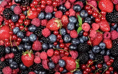 В Роспотребнадзоре рассказали, где нельзя покупать ягоды и фрукты | РБК Life