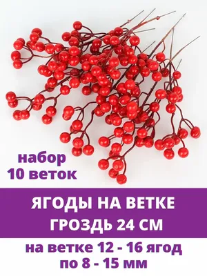 Чай черный Лесные ягоды Премиум в интернет-магазине BestTea.ru