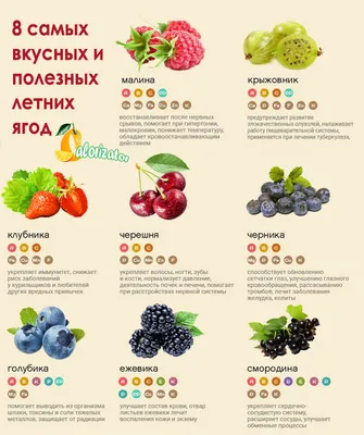 Что есть зимой - очень полезные ягоды для здоровья | РБК Украина