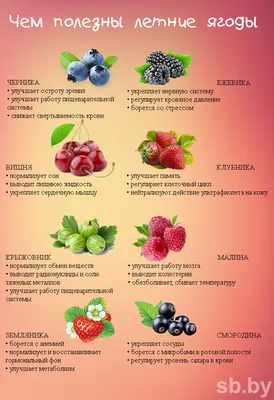 Надо ли обрабатывать покупные замороженные ягоды перед употреблением?  Отвечают специалисты