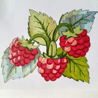 Сушёные ягоды для чая (10 видов) в интернет-магазине Ярмарка Мастеров по  цене 15 ₽ – SUNNERU | Семена, саженцы, Владивосток - доставка по России