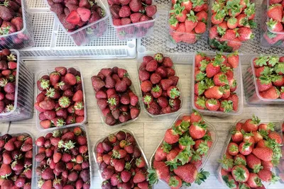 Корзина со свежими ягодами \"Летняя\" – купить в интернет-магазине, цена,  заказ online