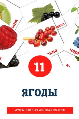 Продажу лесных ягод и грибов предложили не считать предпринимательством -  Российская газета