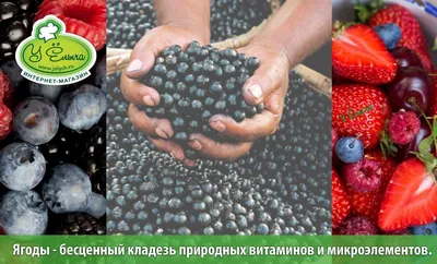 GOOD FOOD Ягоды годжи 130 г - купить в интернет-магазине shopgf.ru