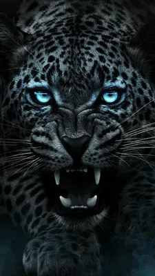MuchaTseBle | Black jaguar animal, Jaguar animal, Wild animal wallpaper