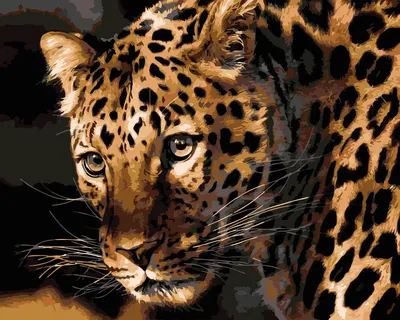 Логотип Jaguar (ягуар) обои для рабочего стола, картинки, фото, 1920x1080.