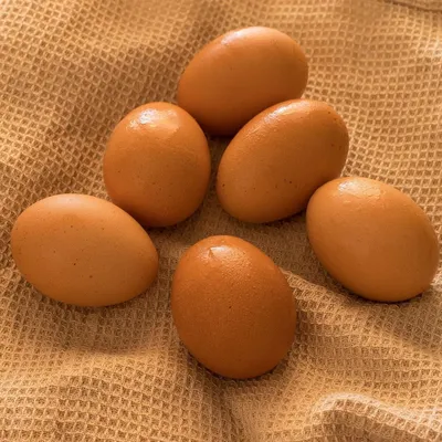 Вот что будет, если есть яйца каждый день | 11.04.2022, ИноСМИ