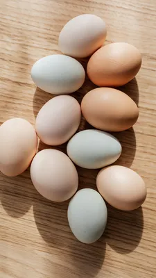 Яйца и питание - Olas ir Spēks
