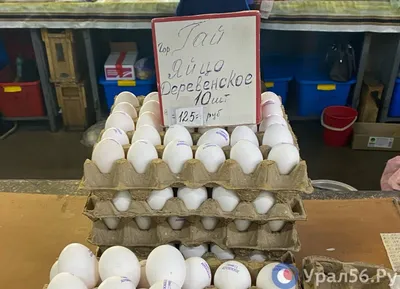 В Оренбурге из-за высоких цен яйца стали продавать поштучно. Одно яйцо  обойдется в 12,5 рублей : Урал56.Ру. Новости Орска, Оренбурга и  Оренбургской области.