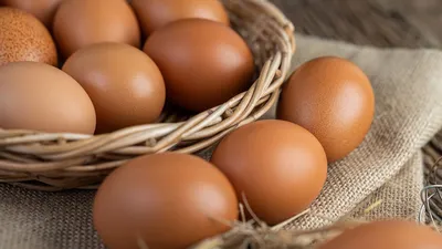 Цена на яйца в Украине поднимется до 100 гривен - причины | РБК Украина
