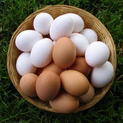 Яйца куриные фермерские С1 / 1 десяток купить в интернет-магазине Афлора с  доставкой по Москве, МО и всей России.
