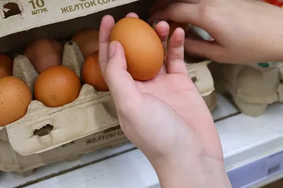 Дефицит яиц в России: что с ценами на яйца, когда подешевеют