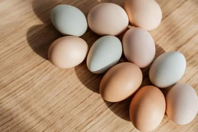 Куриные яйца Праксис - рейтинг 1,18 по отзывам экспертов ☑ Экспертиза  состава и производителя | Роскачество