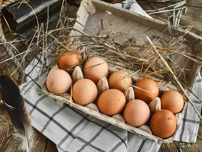 По 20 рублей за штуку. В Крыму цена на яйца достигла двухсот рублей |  ОБЩЕСТВО | АиФ Крым