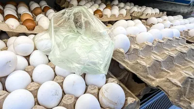 Генпрокуратура подтвердила годовой рост цен на яйца на 40% и начала  проверки | Ветеринария и жизнь