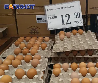 Путин пообещал исправить ситуацию с ростом цен на яйца