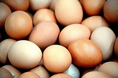 Гусиные яйца цена, купить в Москве с доставкой