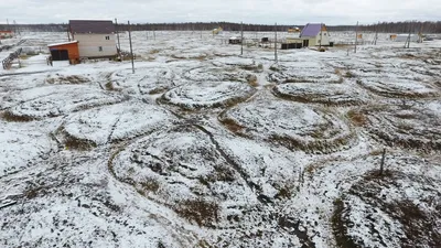 В Якутии нашли древние останки ранее неизвестных животных. Подробности |  РБК Life