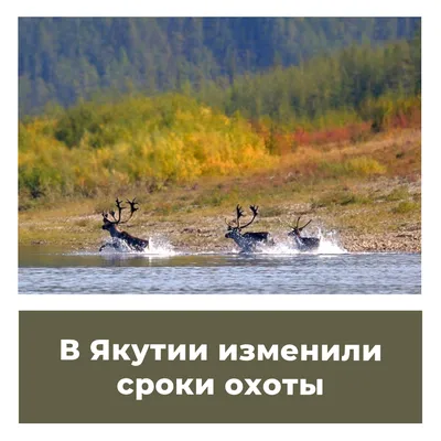 В Якутии изменили сроки охоты - Карта охотника