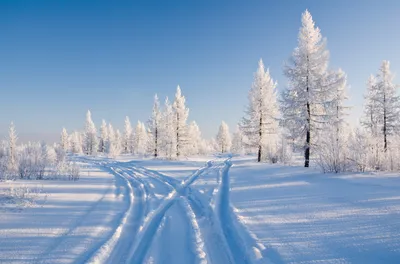Похолодание ожидается к концу недели в Якутии - Информационный портал  Yk24/Як24