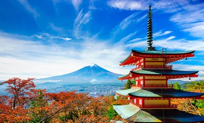 Обучение в Японии (Токио) | Учеба и образование в Японии с EF